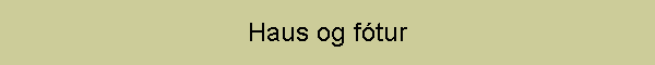 Haus og ftur