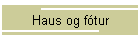 Haus og ftur