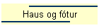 Haus og ftur